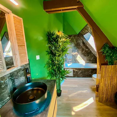 Appartement La Kabane , Proche Centre Et Avec Expérience Décoration Jungle Unique