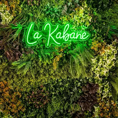 Appartement La Kabane , Proche Centre Et Avec Expérience Décoration Jungle Unique *